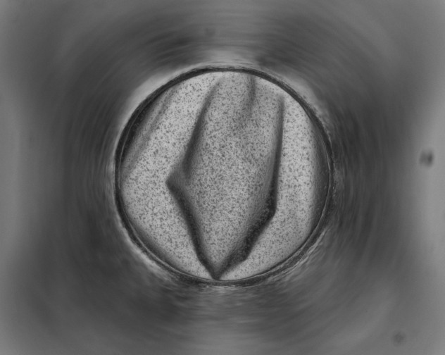 X0000097891335200804041301