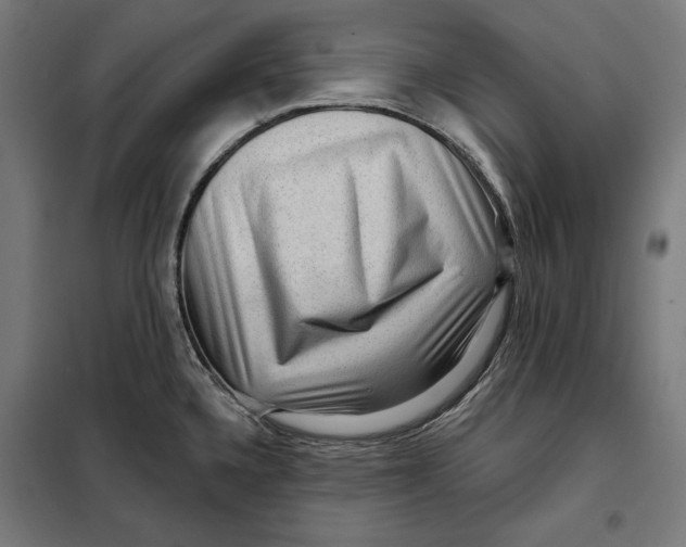 X0000097891336200804041301