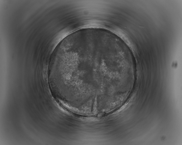 X0000097891337200804041301