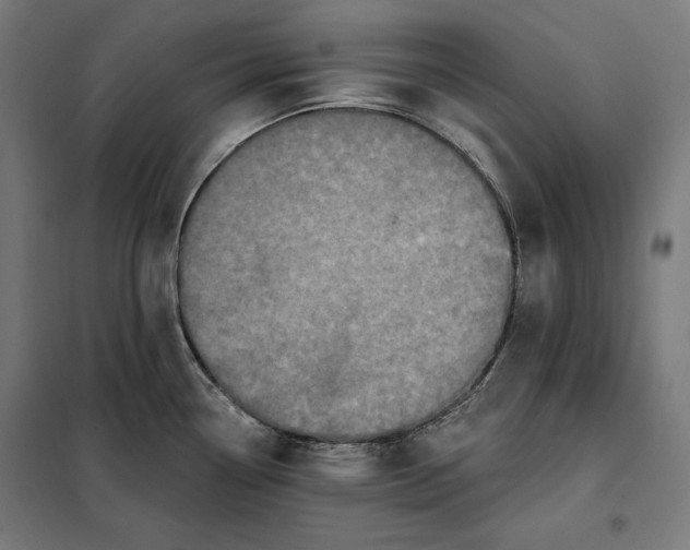 X0000097891338200804041301