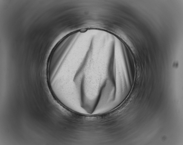 X0000097891339200804041301