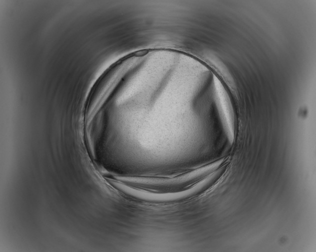 X0000097891340200804041301