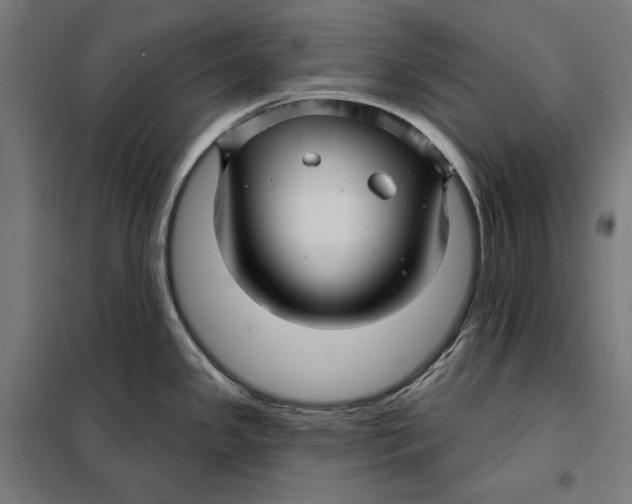 X0000097891341200804041301