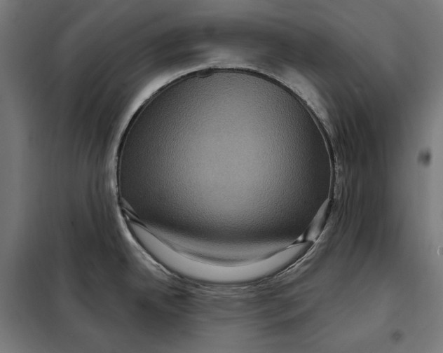 X0000097891342200804041301