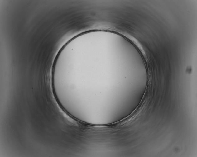 X0000097891343200804041301