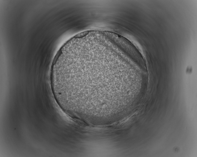 X0000097891344200804041301