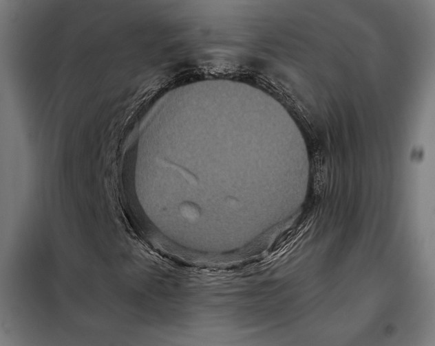 X0000097891345200804041301