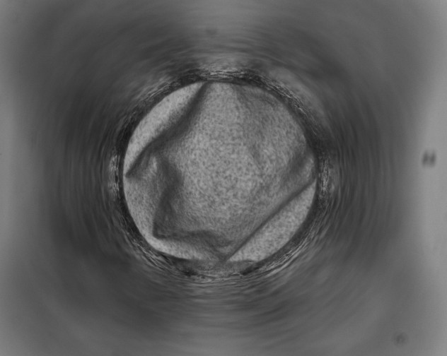 X0000097891346200804041301