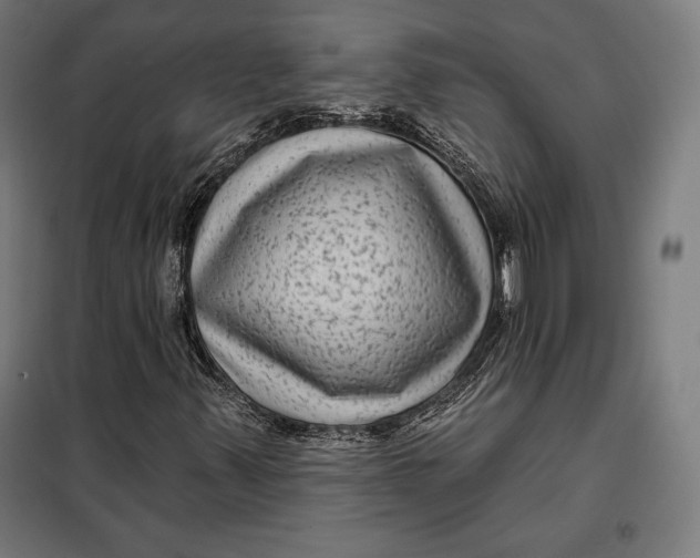 X0000097891347200804041301