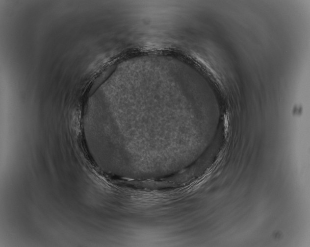 X0000097891348200804041301