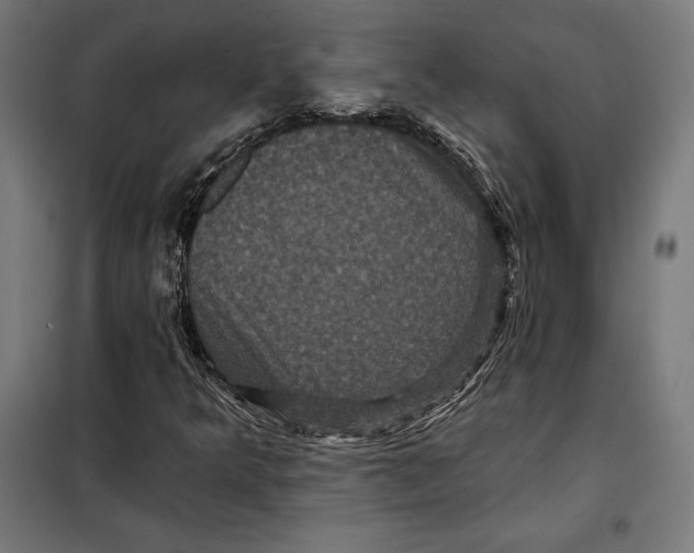 X0000097891349200804041301