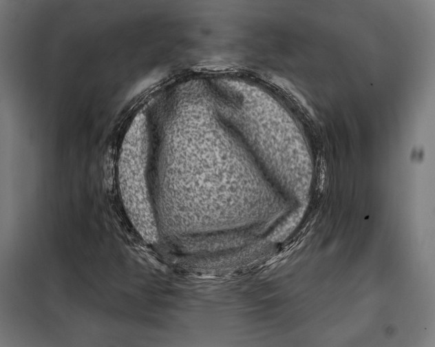 X0000097891350200804041301