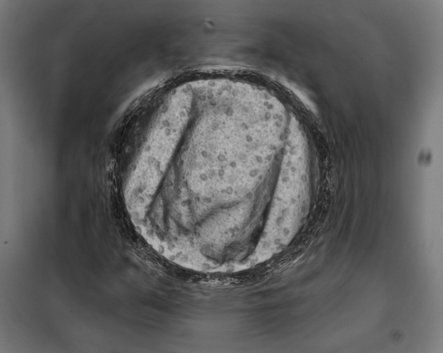 X0000097891351200804041301