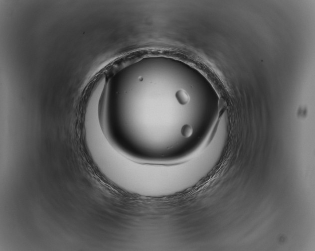 X0000097891352200804041301