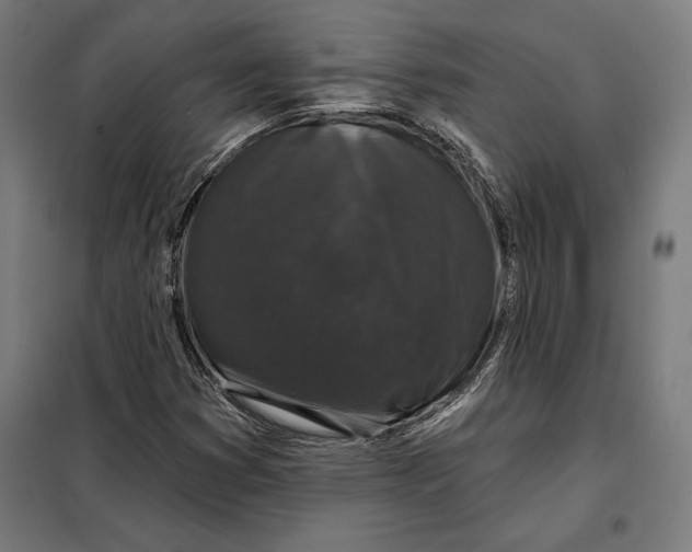 X0000097891353200804041301