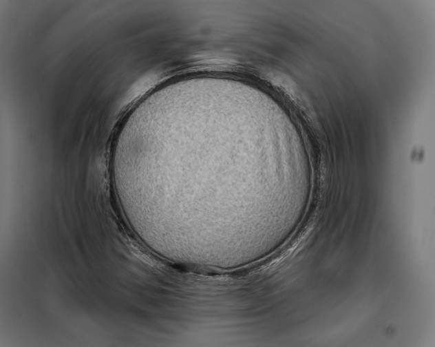 X0000097891354200804041301