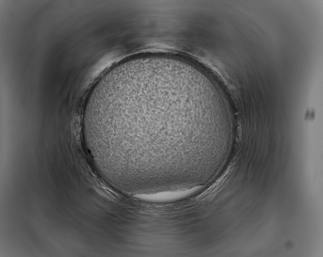 X0000097891355200804041301