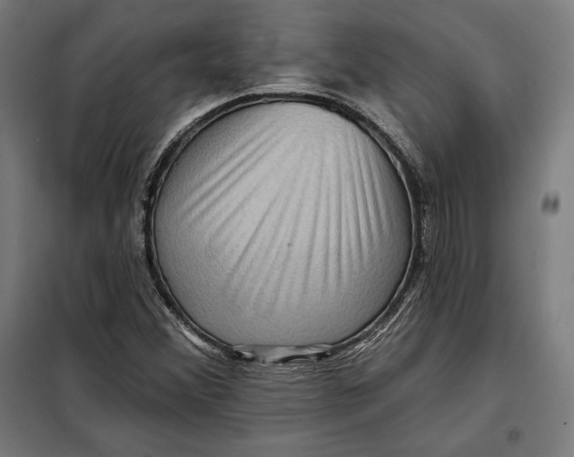 X0000097891356200804041301