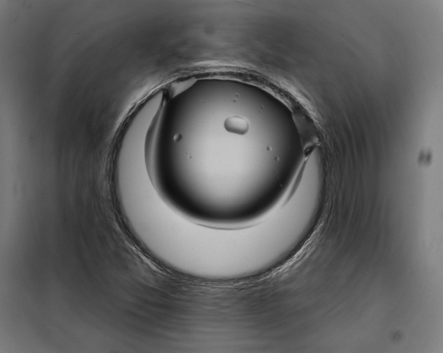 X0000097891357200804041301