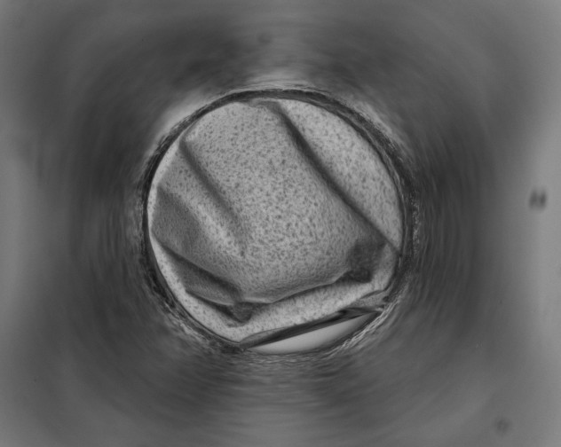 X0000097891358200804041301