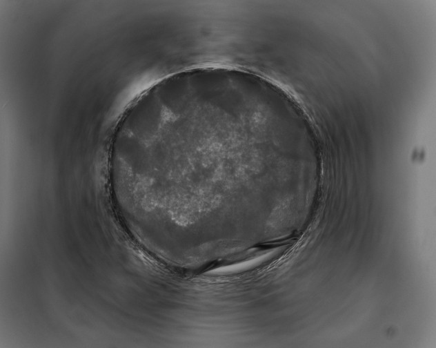 X0000097891359200804041300