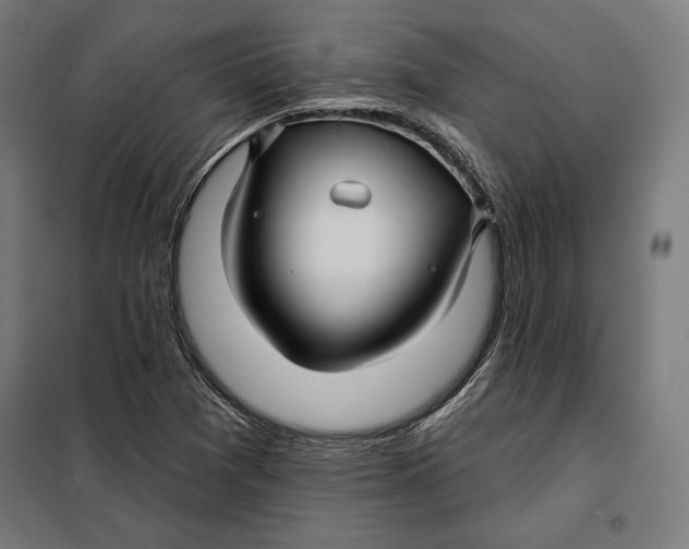 X0000097891361200804041300