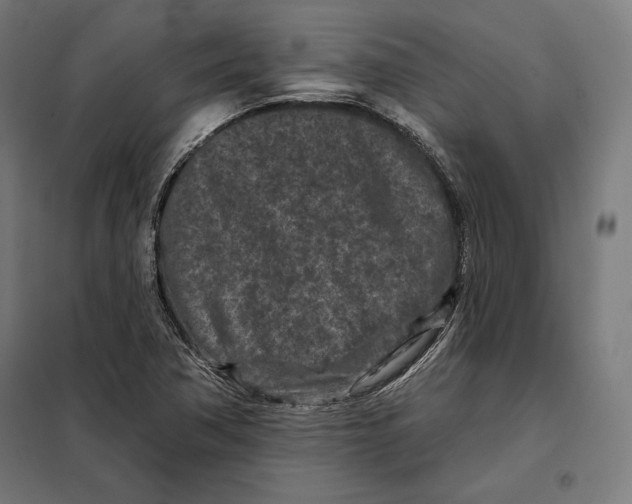 X0000097891362200804041300