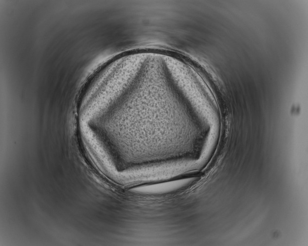 X0000097891363200804041300