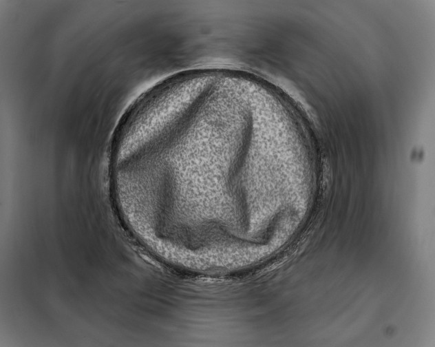 X0000097891364200804041300