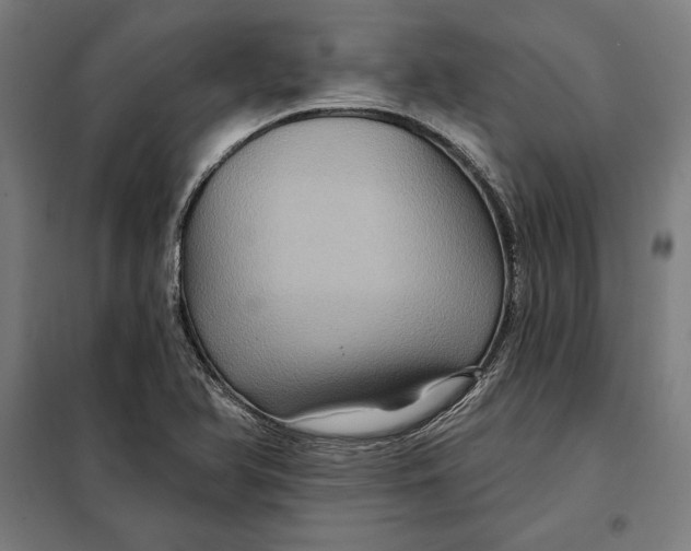 X0000097891366200804041300