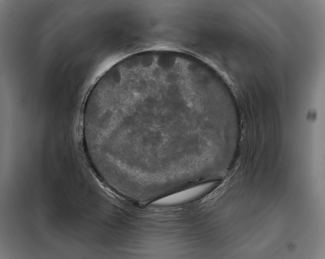 X0000097891367200804041300