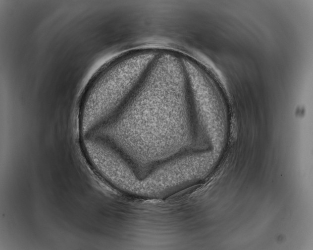 X0000097891368200804041300