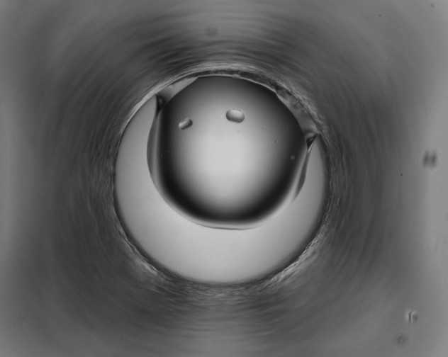 X0000097891369200804041300