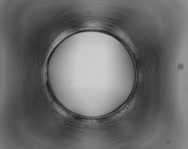 X0000097891370200804041300