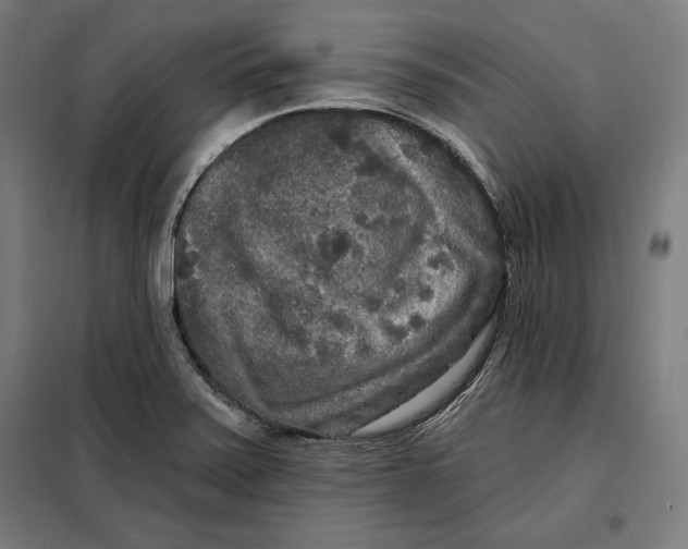 X0000097891371200804041300