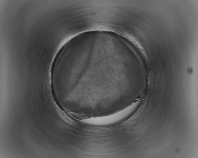 X0000097891372200804041300