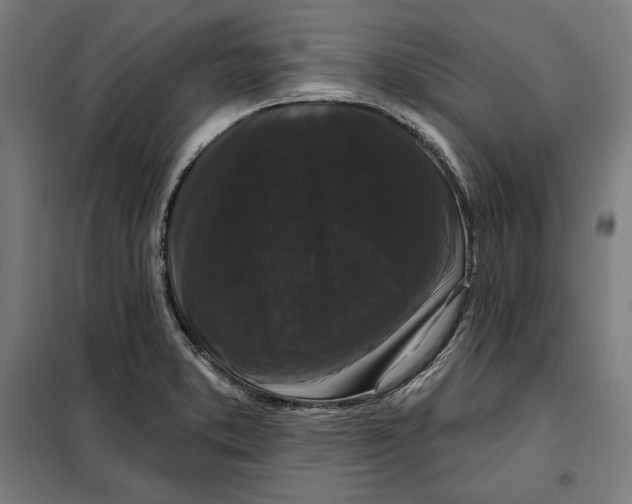 X0000097891373200804041300