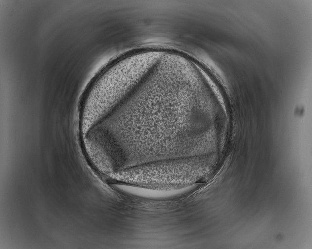 X0000097891376200804041300