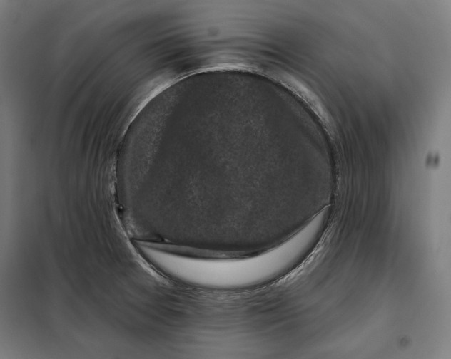 X0000097891377200804041300