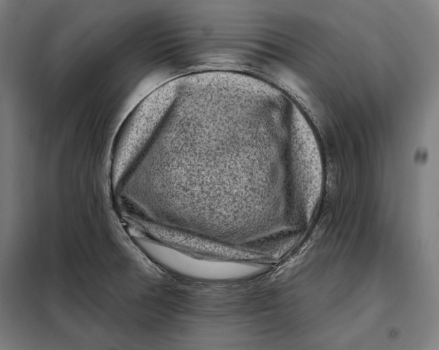 X0000097891378200804041300