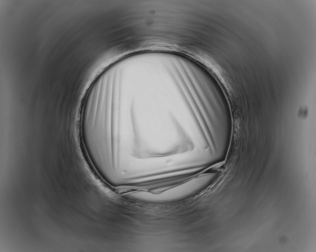 X0000097891379200804041300