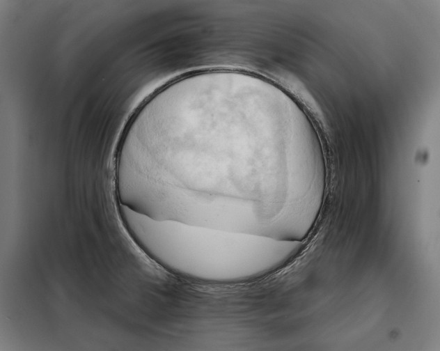 X0000097891380200804041300