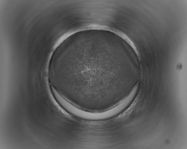 X0000097891381200804041300