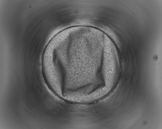 X0000097891382200804041300