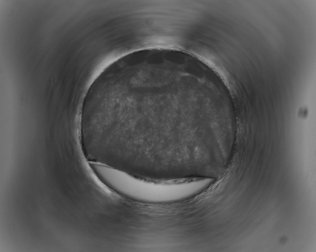 X0000097891383200804041300