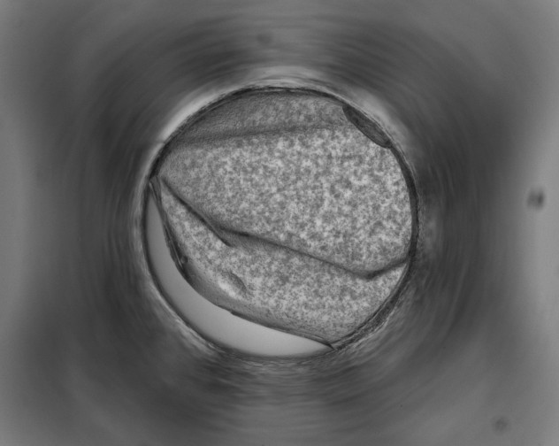 X0000097891384200804041300