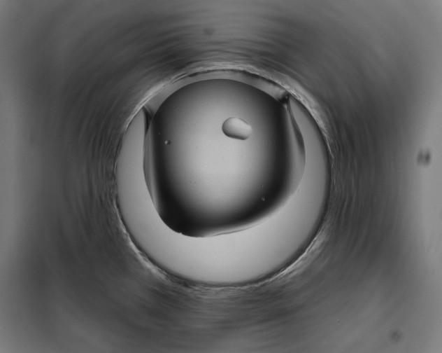 X0000097891385200804041300