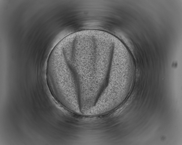 X0000097891386200804041300