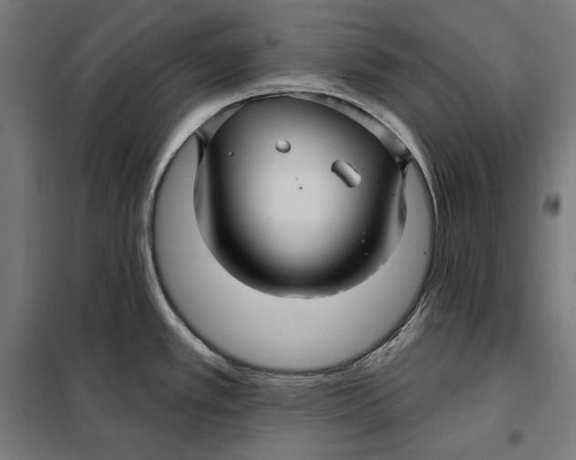 X0000097891389200804041300