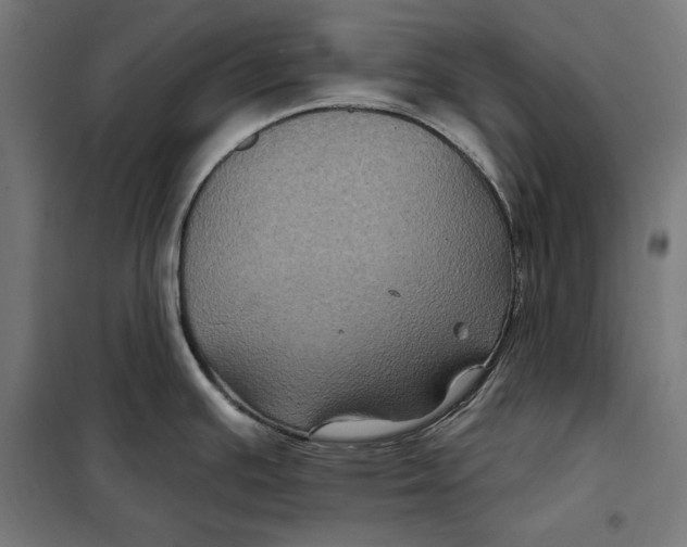 X0000097891391200804041300